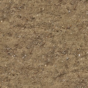 dirt.jpg